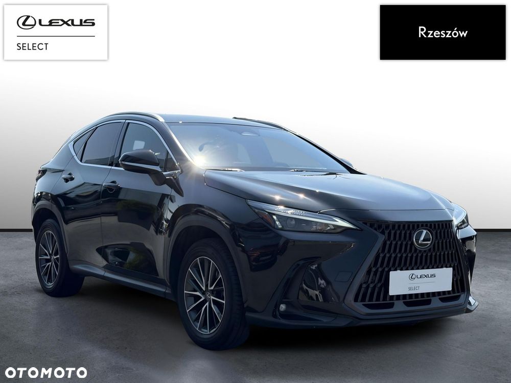 Lexus NX 350h Prestige AWD - 7