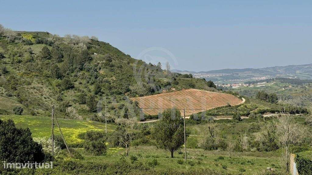 Terreno com 6000m2 em Fazenda do Cabeço - Grande imagem: 4/5