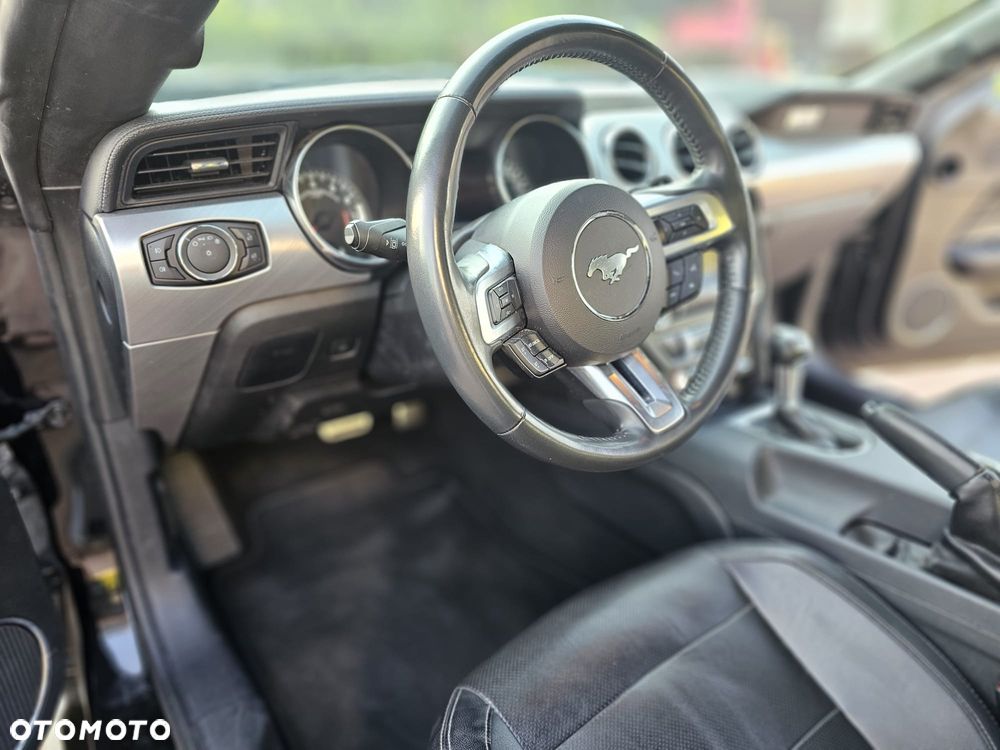 Ford Mustang 5.0 V8 Mach 1 - 12
