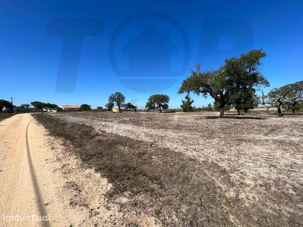 Terreno de Gaveto - Foros De Salvaterra - 55.000€ - Grande imagem: 4/7