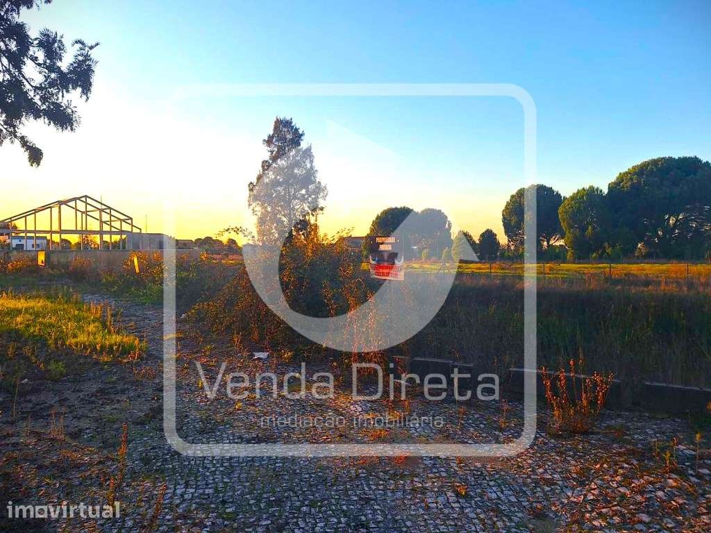 Terreno nas Taipadas, Canha, Montijo, para construção de moradia. - Grande imagem: 5/16
