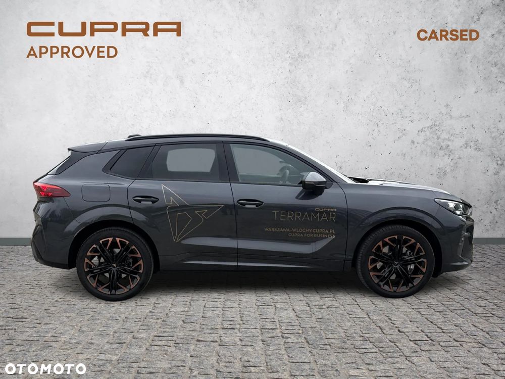 Cupra Terramar - 6