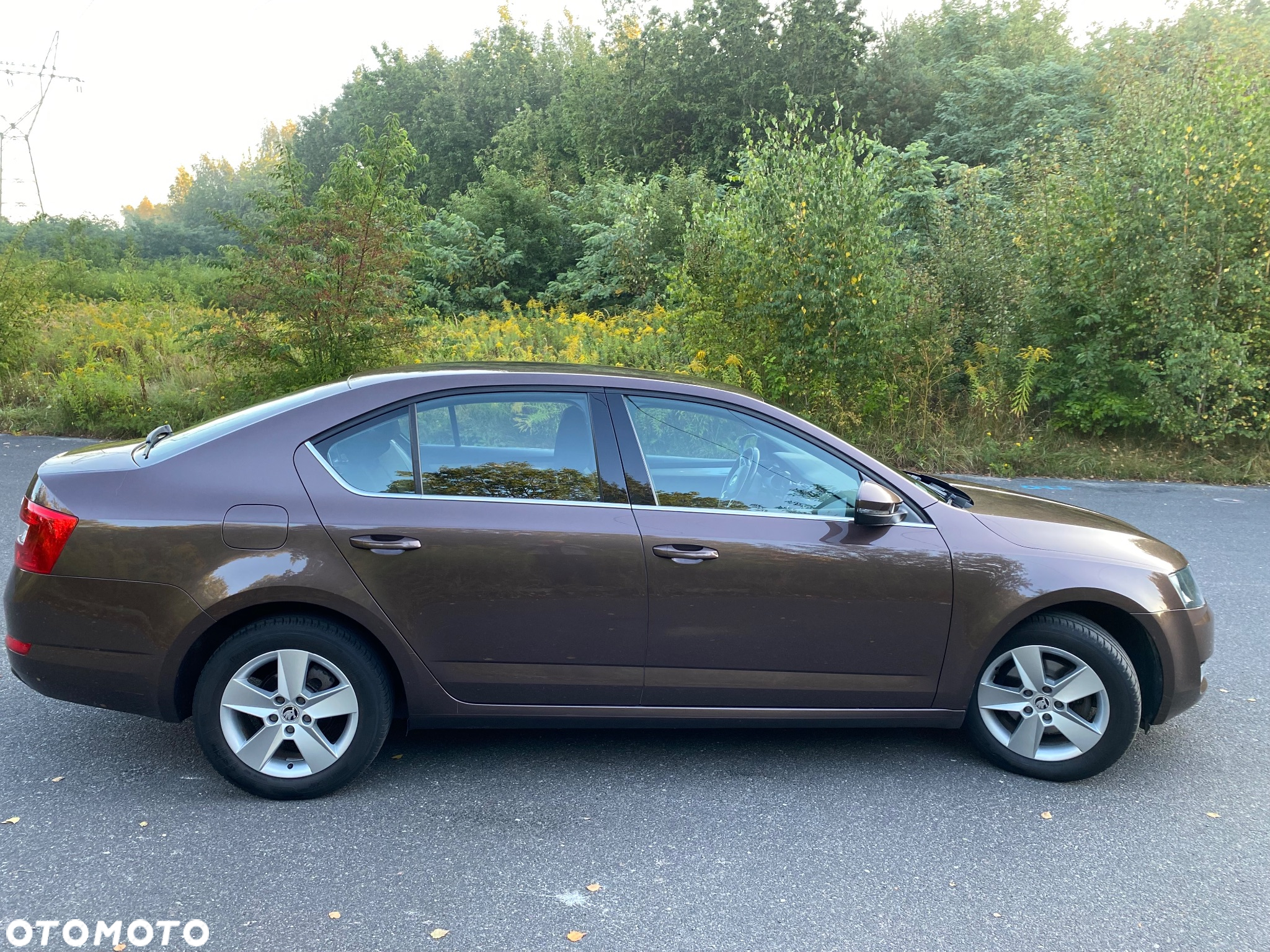 Skoda Octavia 1.4 TSI Ambition - 7