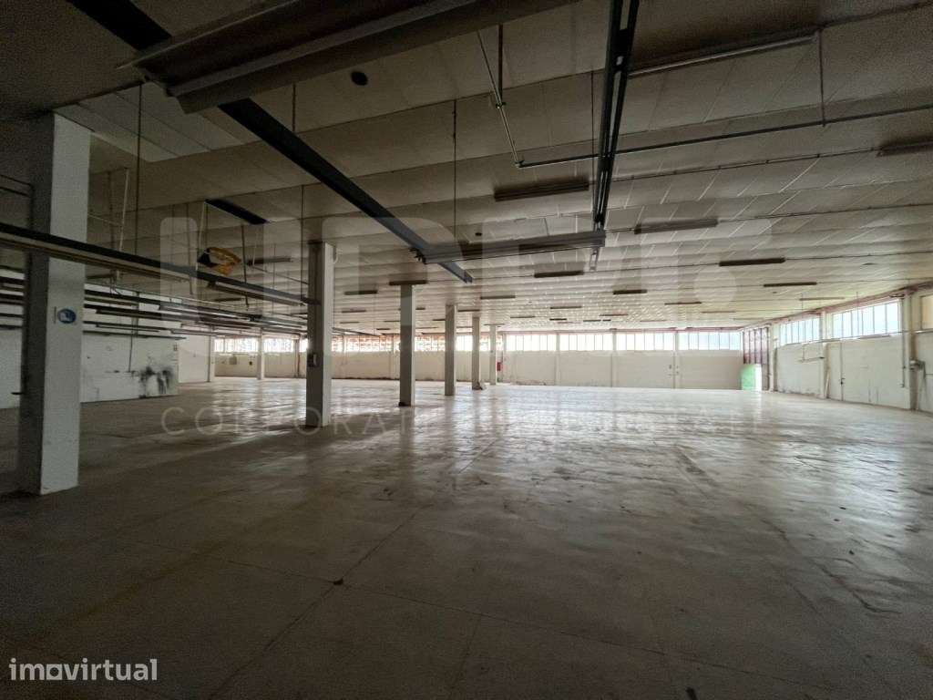 ARMAZÉM | ARRENDA | TROFA - Grande imagem: 5/8