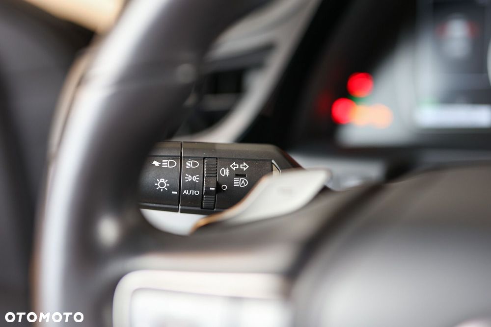 Lexus ES 300h Business Edition - 29