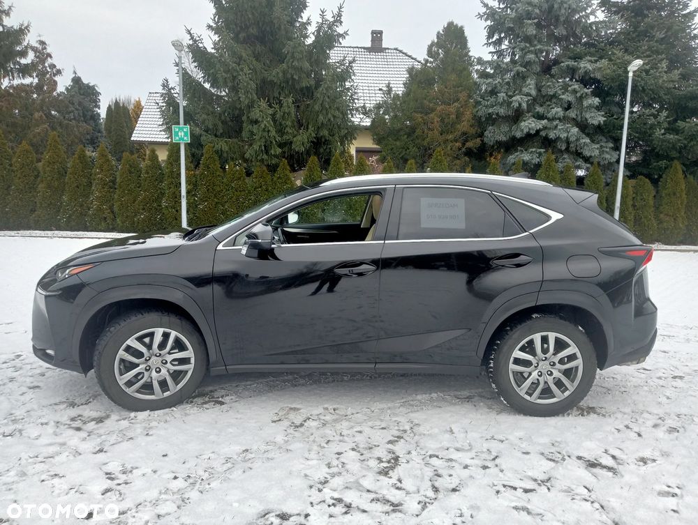 Lexus NX - 14