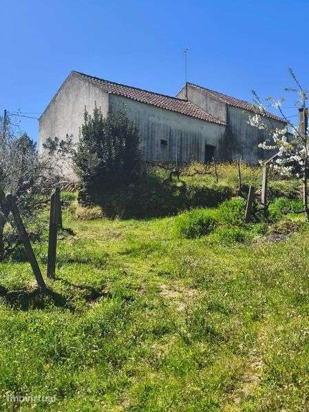 Quinta com casa pra reconstruir - Grande imagem: 3/8