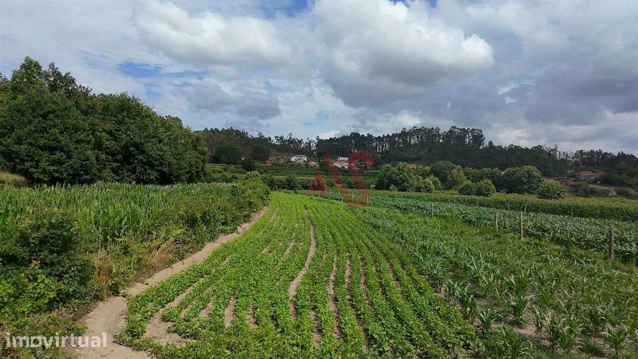 3 Terrenos Agrícola com 6815m2 em Silvares, Lousada - Grande imagem: 4/13