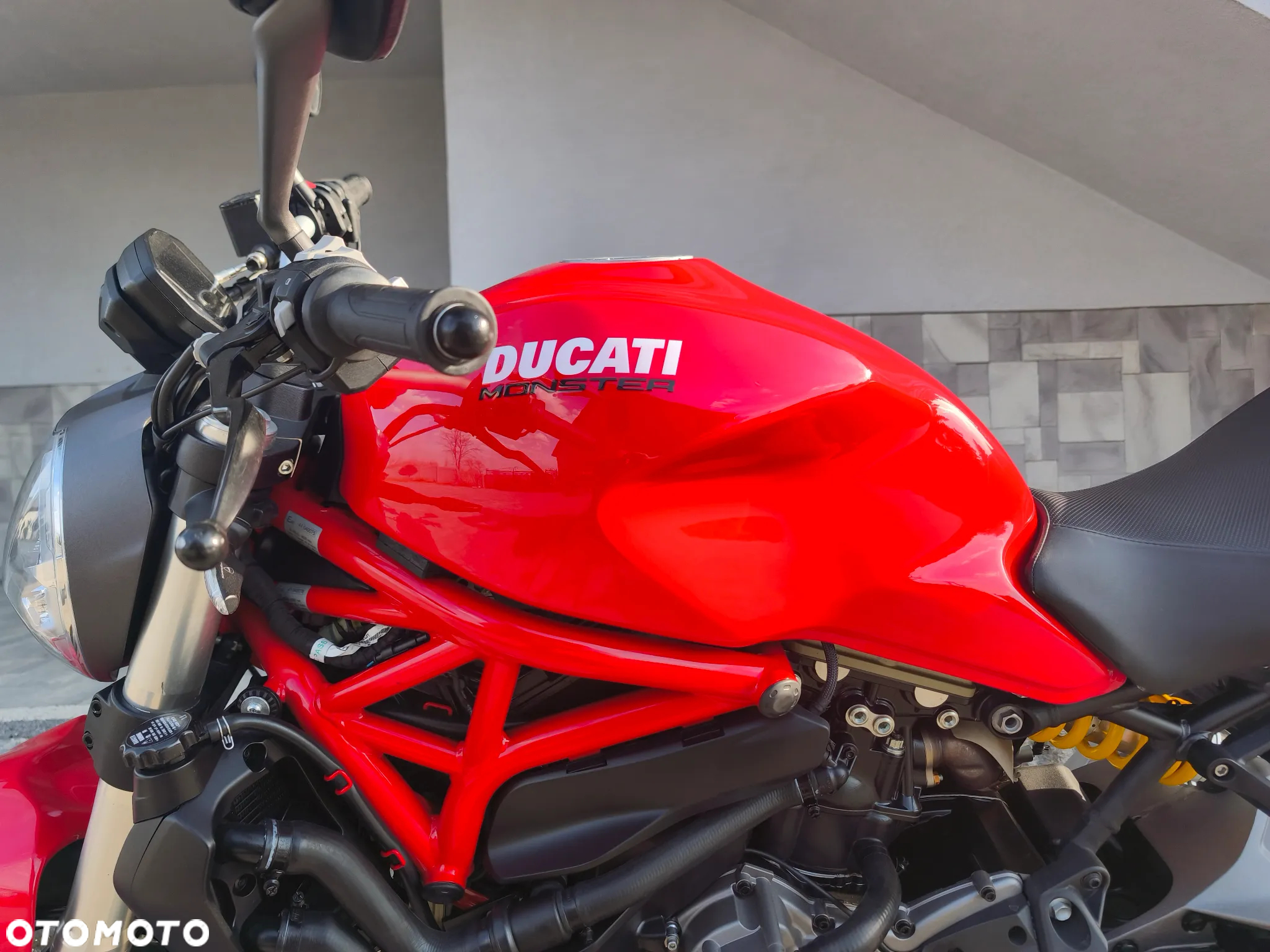 Ducati Monster - 5