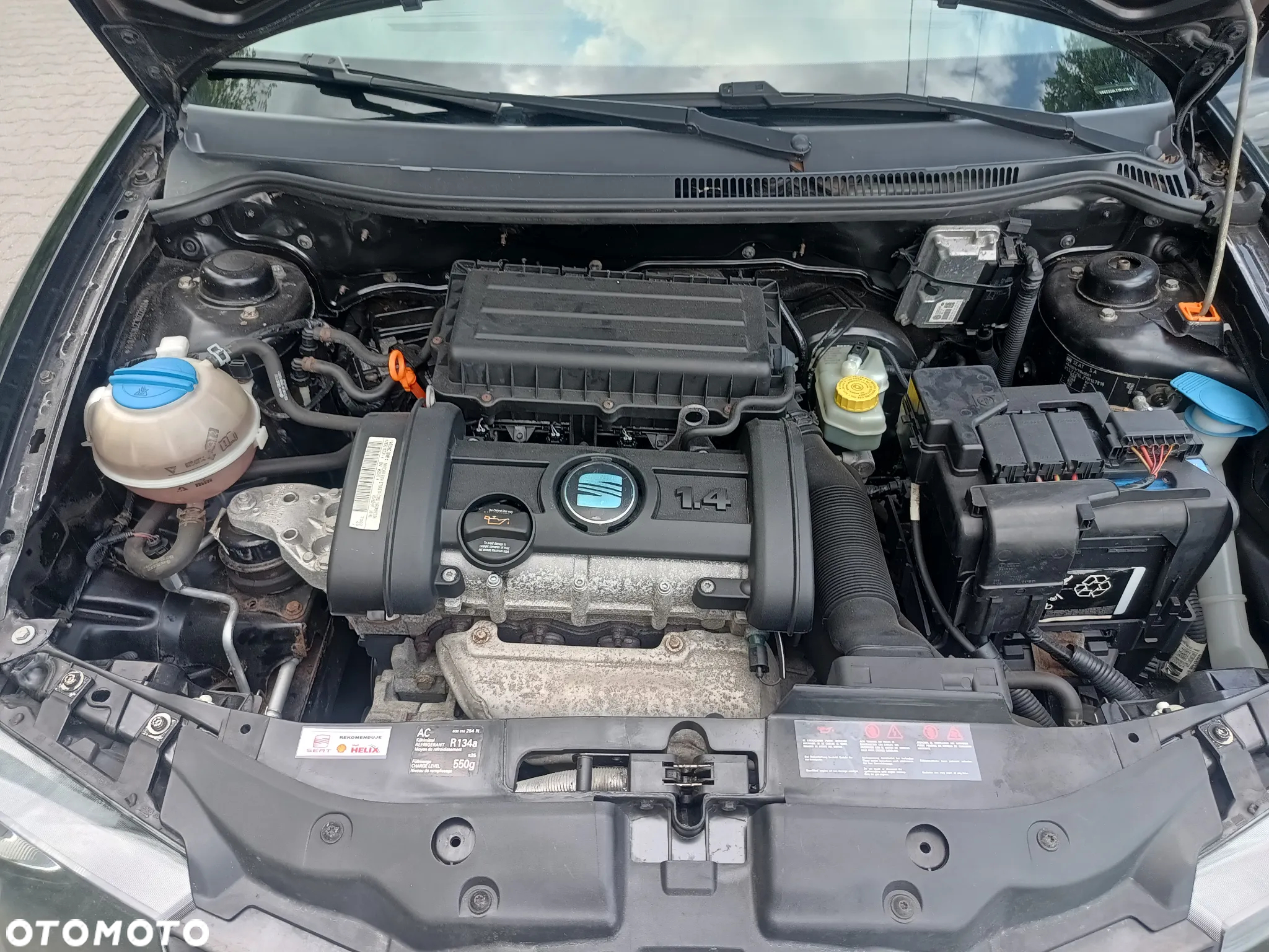 Seat Ibiza - 17