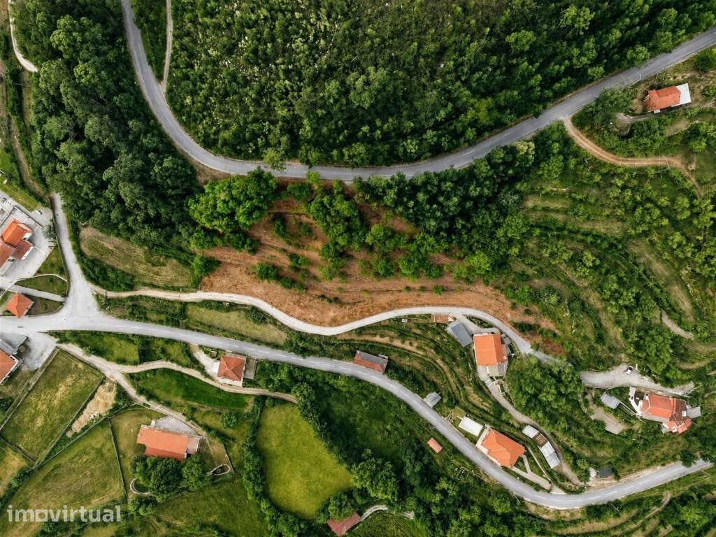 Terreno Agrícola  e Florestal - Seramil - Grande imagem: 2/16
