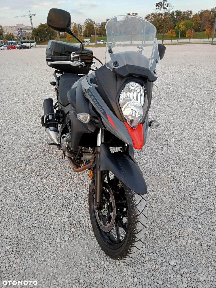 Suzuki DL - 8