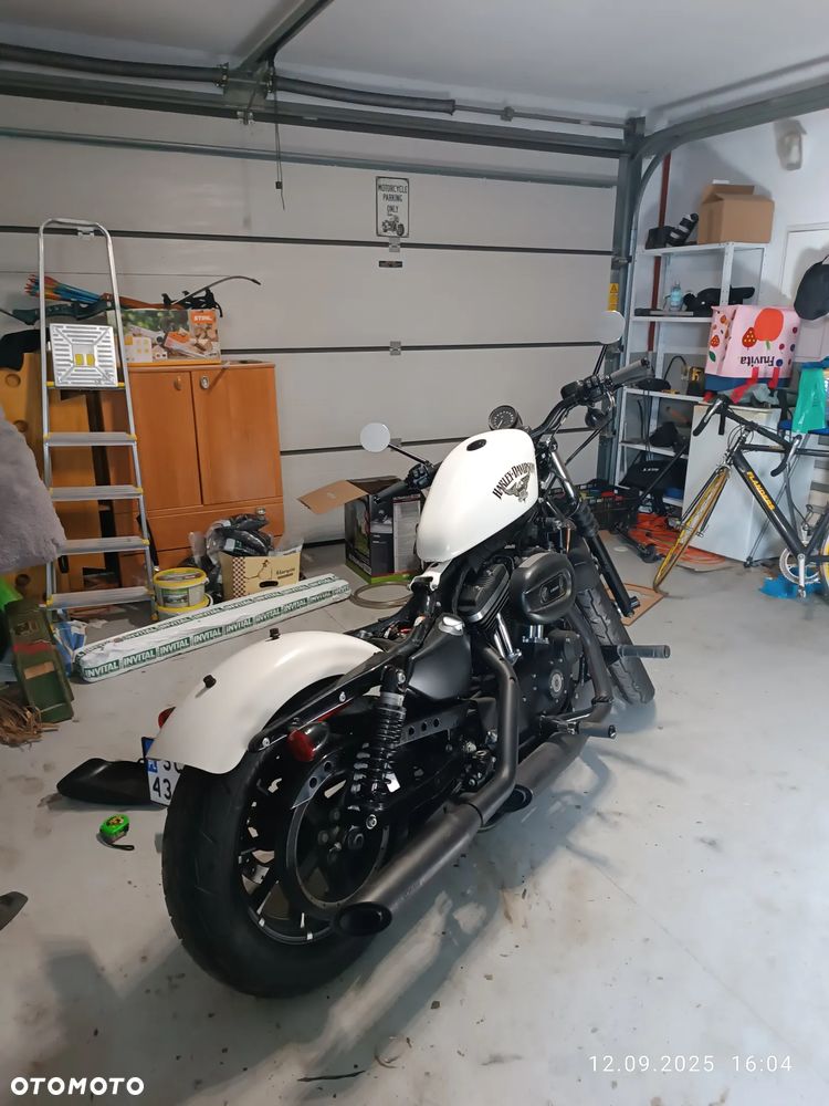 Harley-Davidson Sportster Custom 1200C - 3