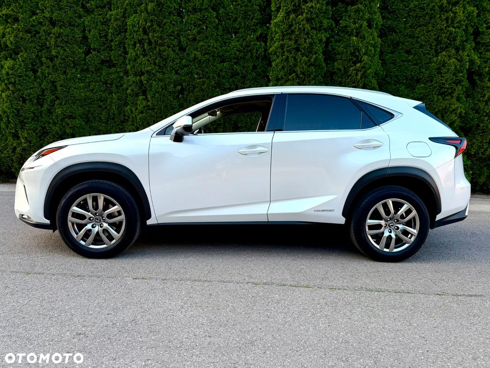 Lexus NX 300h Business Edition AWD - 13