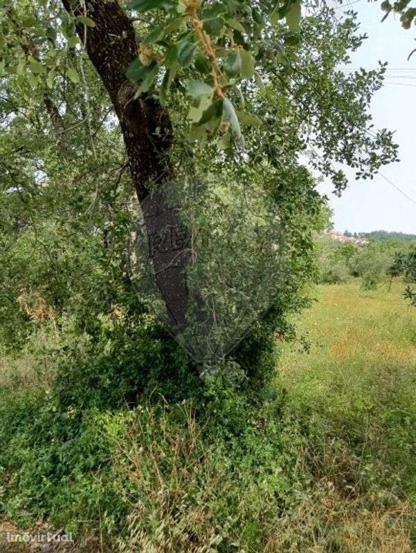 Terreno  para venda - Grande imagem: 2/8