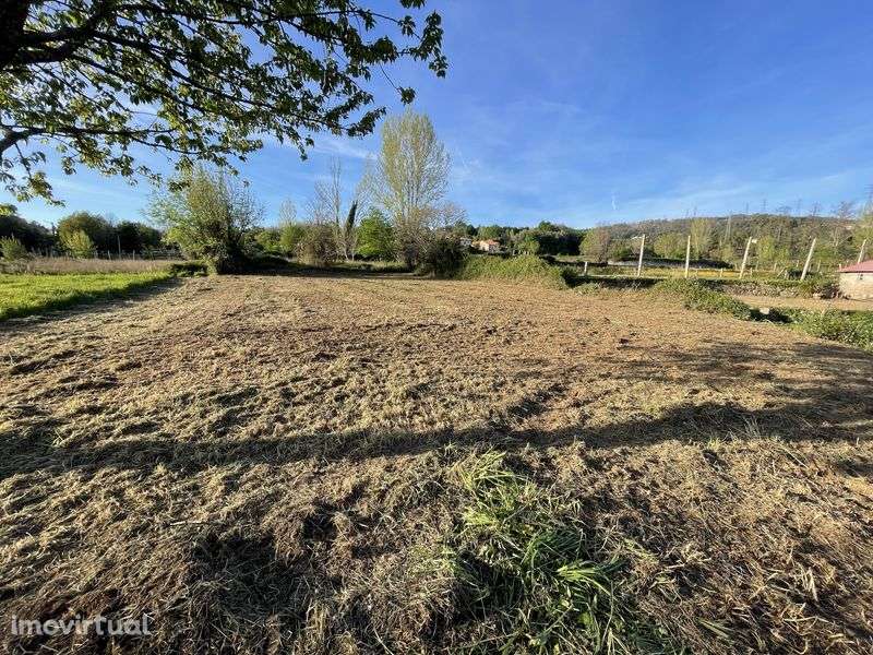 Terreno urbano com 1000m2 com duas casas em pedra - Grande imagem: 3/11