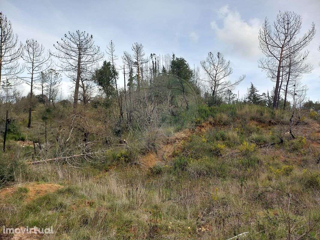 Terreno  para venda - Grande imagem: 2/12