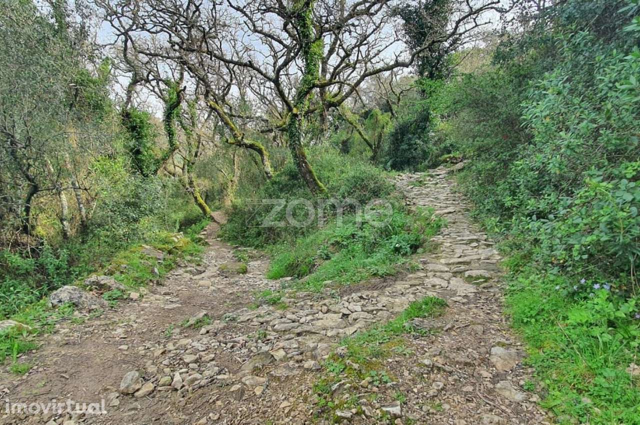 Terreno Rústico na Cabrela, Terrugem - Grande imagem: 5/21