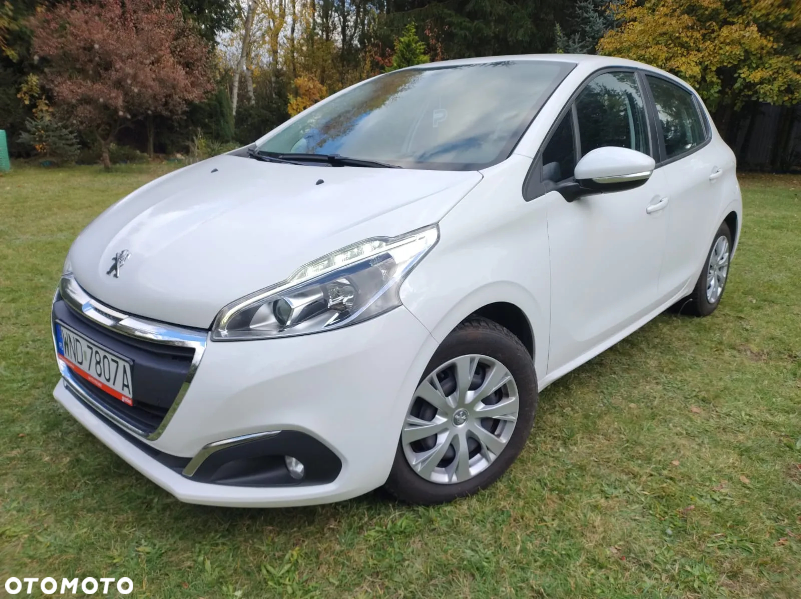 Renault Clio - 2