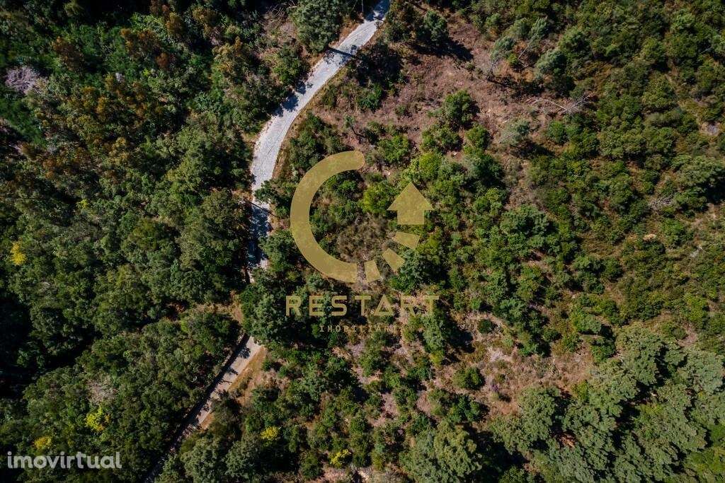 Terreno Ancede - Grande imagem: 3/8