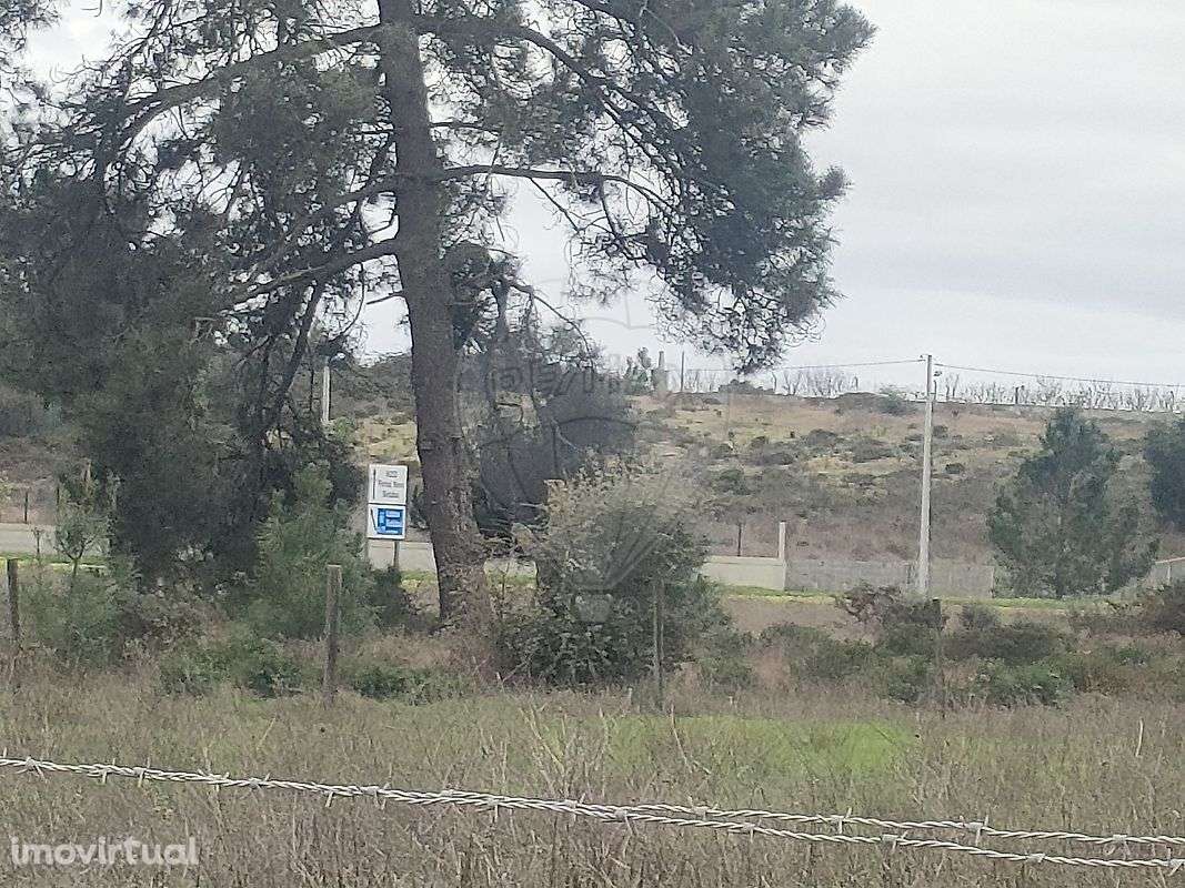 Armazém  para venda - Grande imagem: 2/10