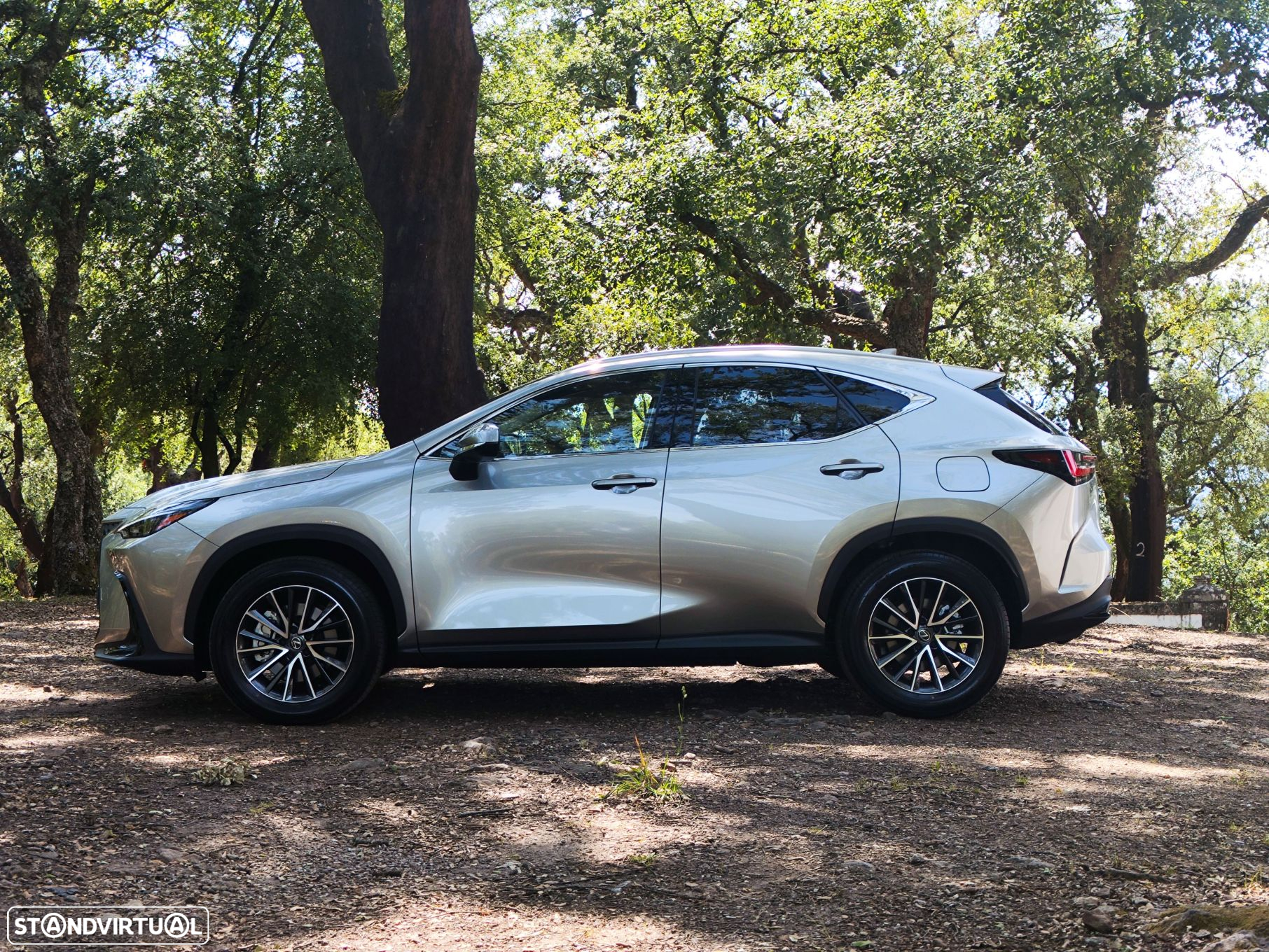 Lexus nx-450hplus - 8