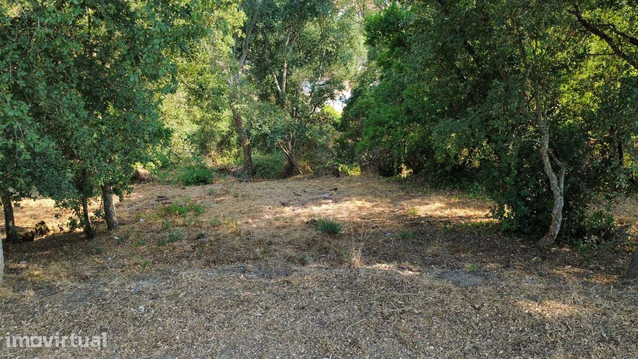 Terreno  Venda em Rio Mau,Penafiel - Grande imagem: 2/7