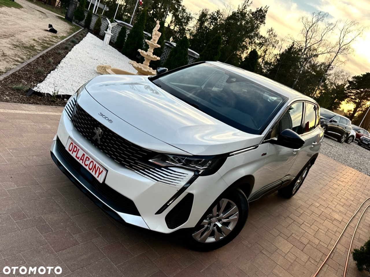 Peugeot 3008 - 8