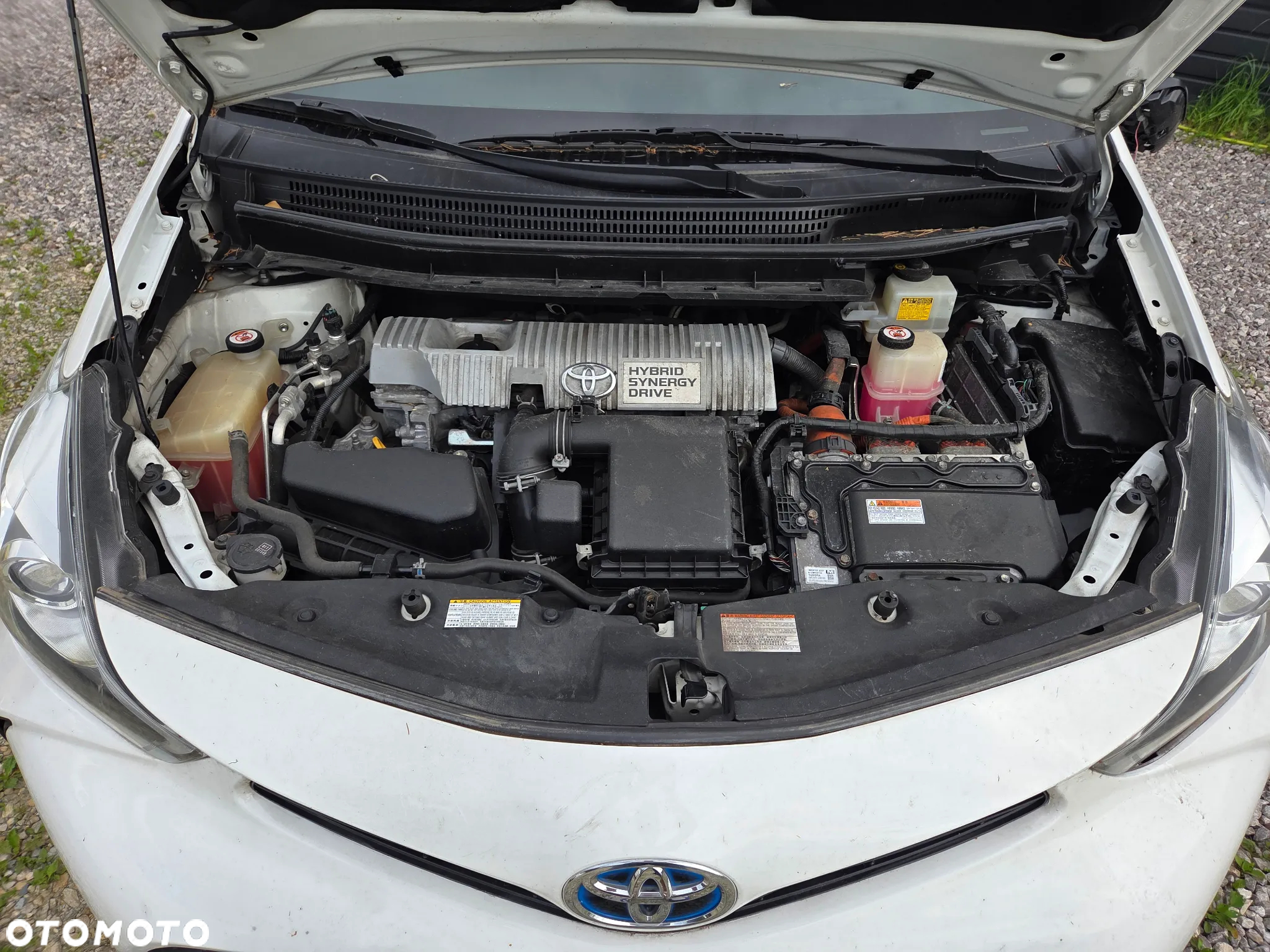 Toyota Prius+ (Hybrid) Executive - 14
