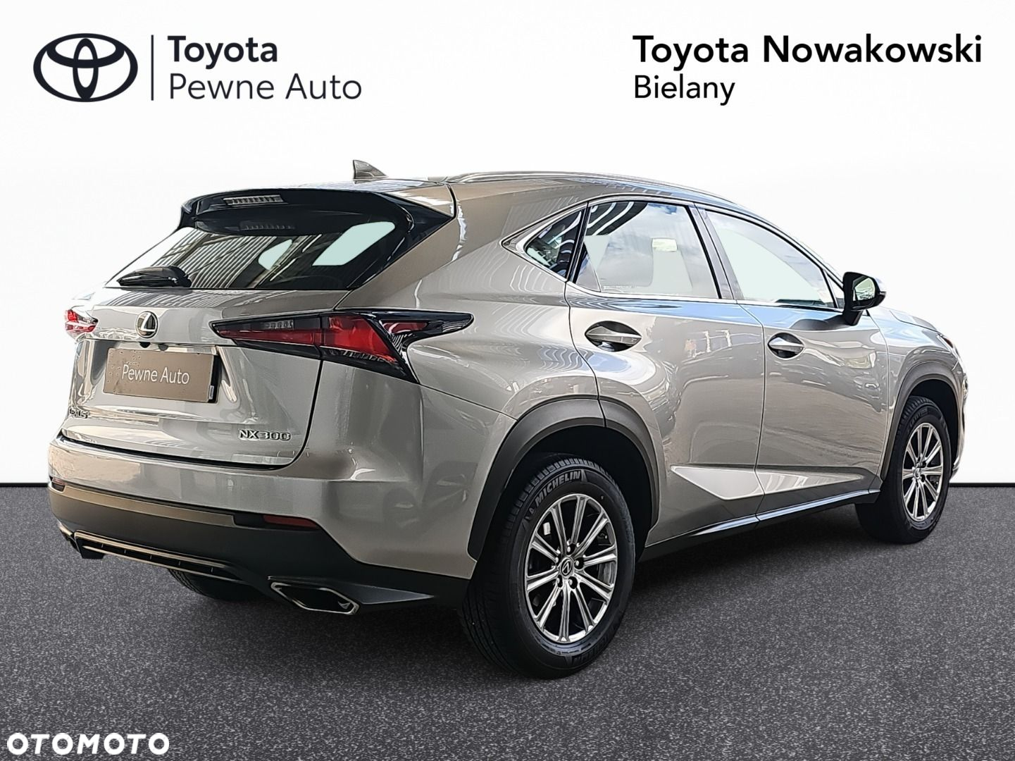 Lexus NX 300 Elegance Optimum AWD - 30