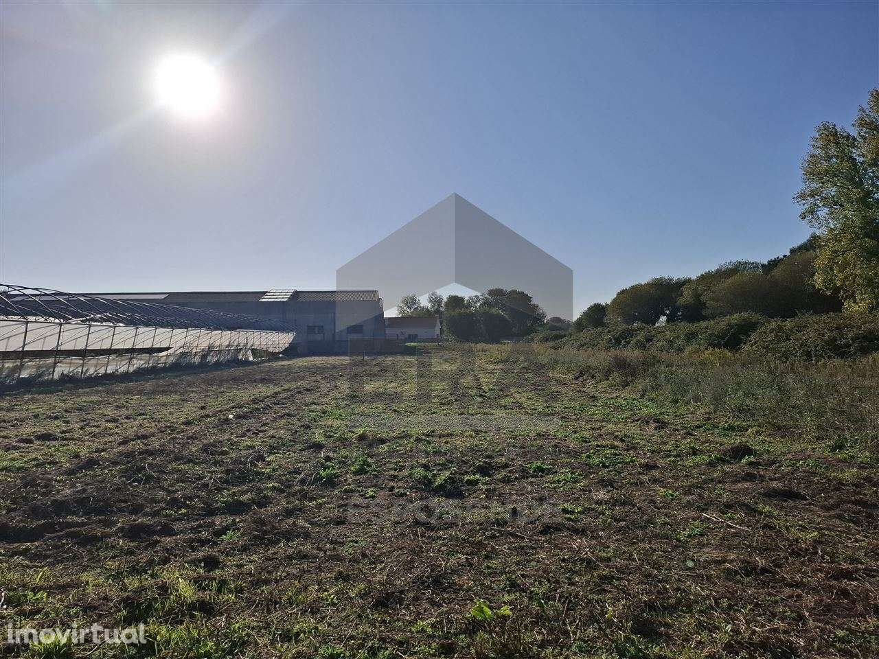 Terreno agrícola Belinho - Grande imagem: 3/7