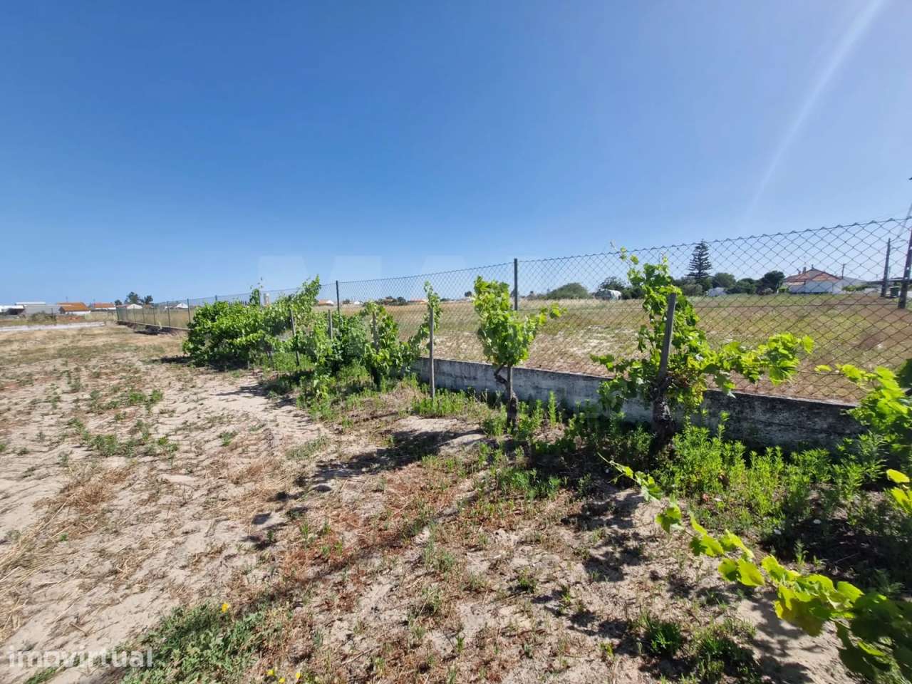 Quintinha com Moradia T2, Anexo/Armazém e Terreno de 1.247 m² em Fo... - Grande imagem: 5/13
