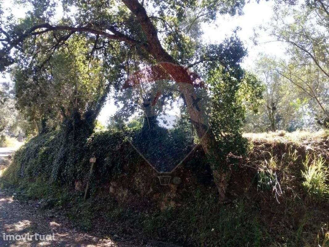 Terreno  para venda - Grande imagem: 5/7