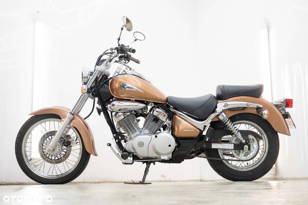 Suzuki Intruder - 9