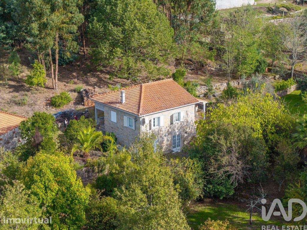 Quinta em Mangualde, Mesquitela e Cunha Alta