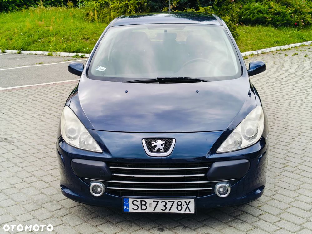 Peugeot 307 HDi 90 Grand Filou Cool - 13