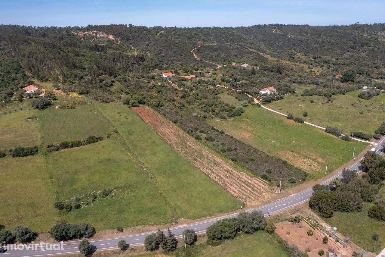 TERRENO RÚSTICO COM VINHA, ALFAMBRAS, ALJEZUR - Grande imagem: 3/8