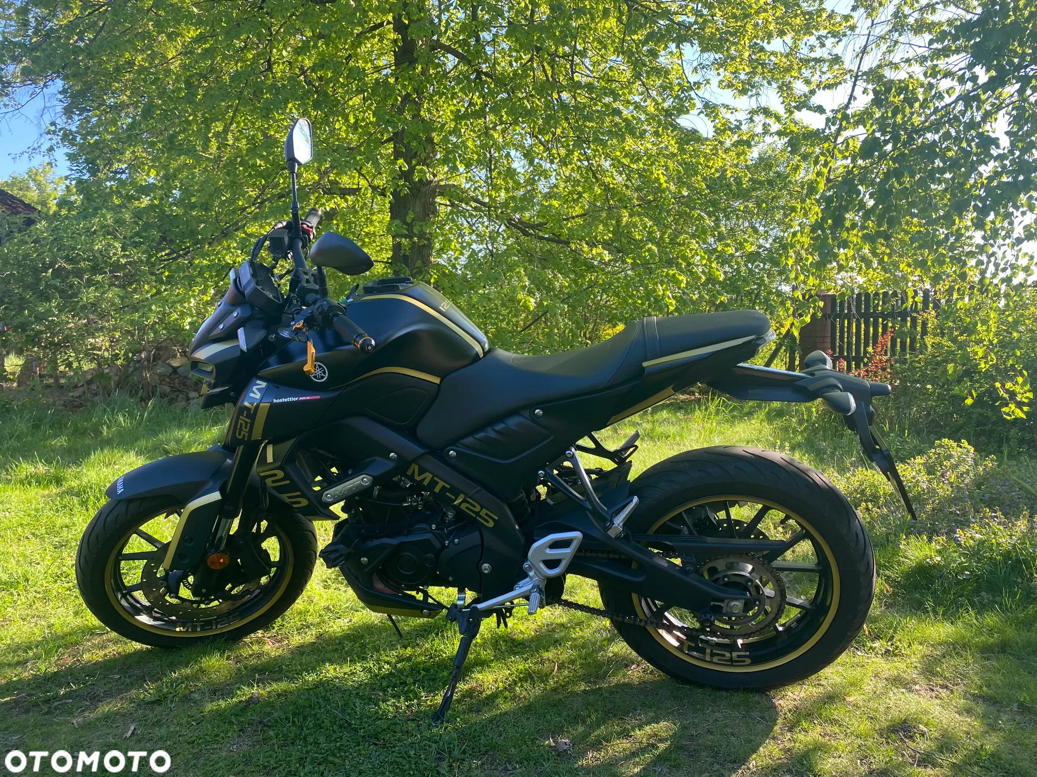 Yamaha MT - 3