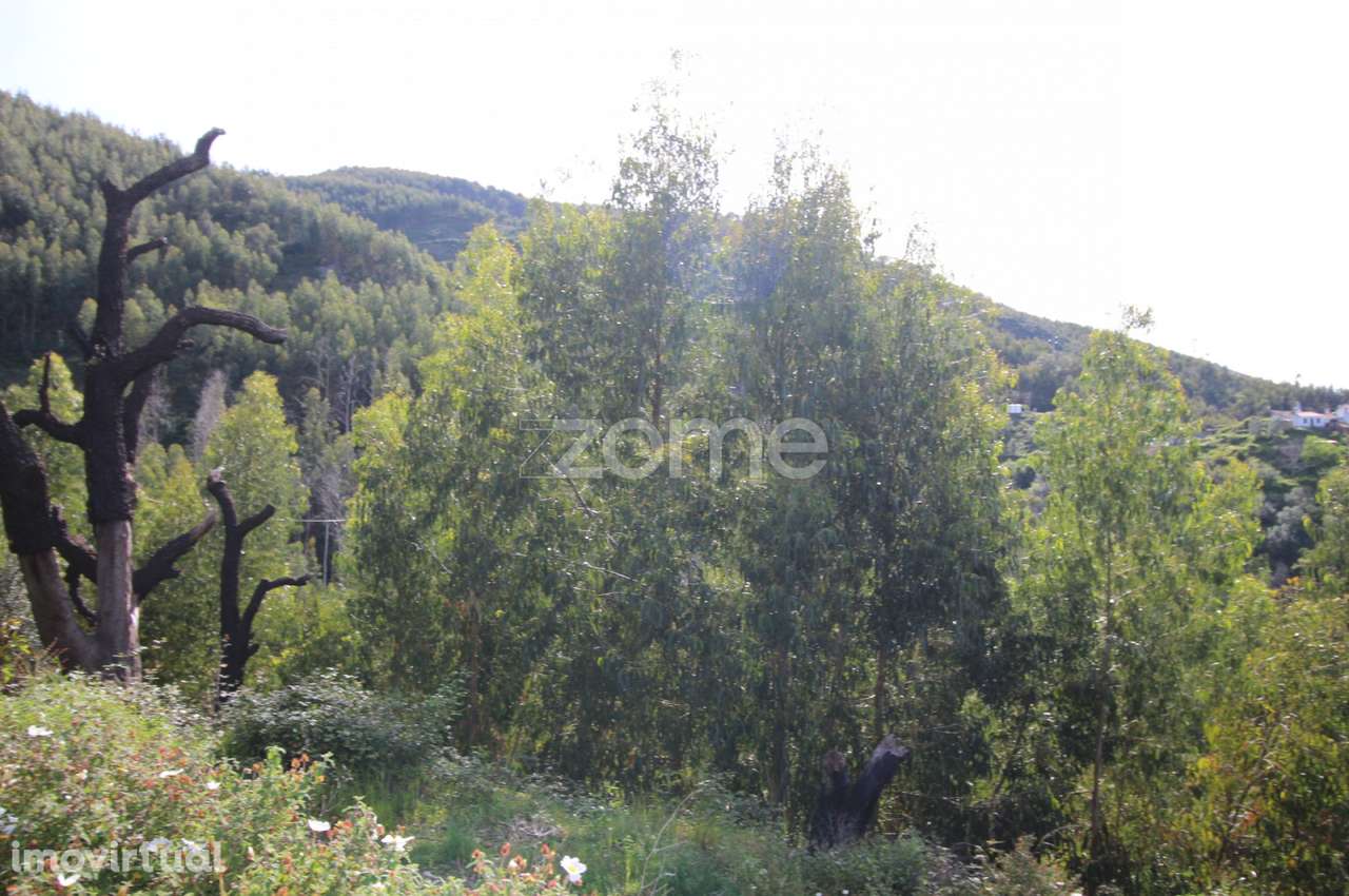 Terreno Rústico com 5.400 m² – Pontalinhos, Monchique - Grande imagem: 4/23