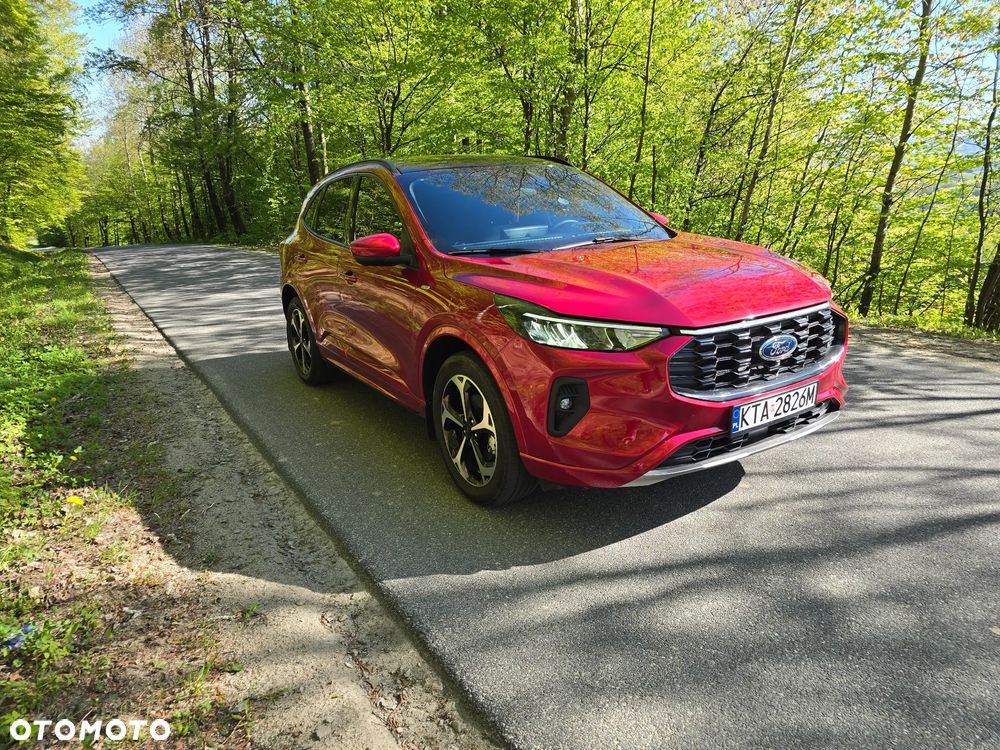 Ford Escape - 10