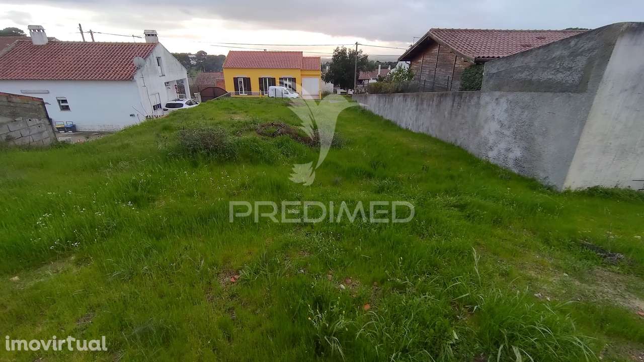 Terreno Urbano 317 m2 - Carregueira - Chamusca - Grande imagem: 4/7