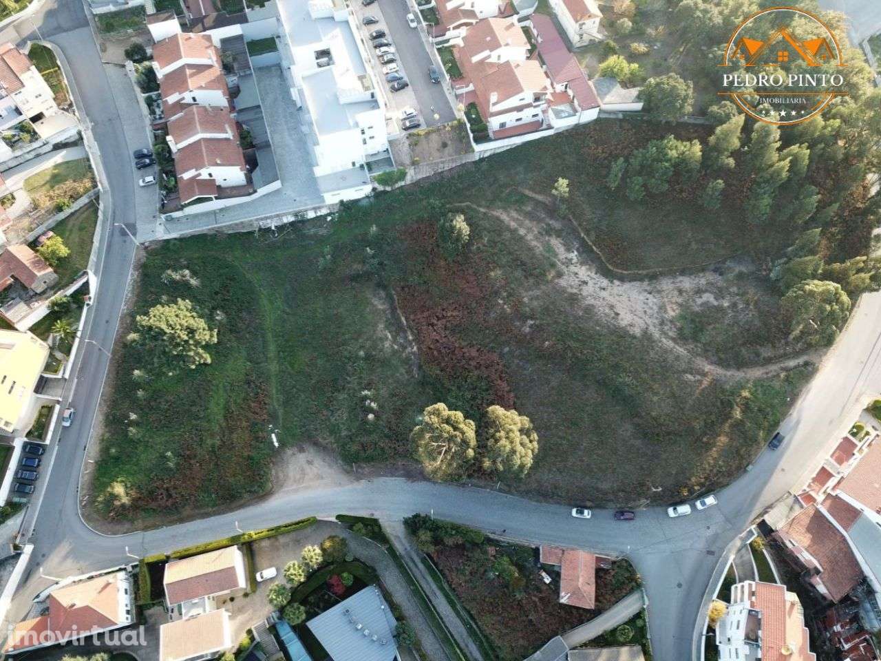 Terreno Urbano de 10.935m² em Oliveira do Douro - Oportunidade Única - Grande imagem: 3/9