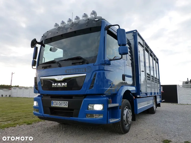 MAN TGM 15.250 DO ŻYWCA / ZWIERZĄT / BYDŁA / WAGA EL/. EURO 6 / DŁ. 5.20M /XENON - 5