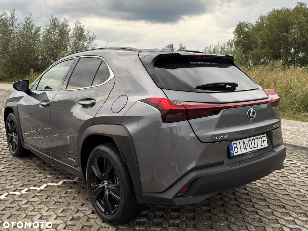 Lexus UX - 7