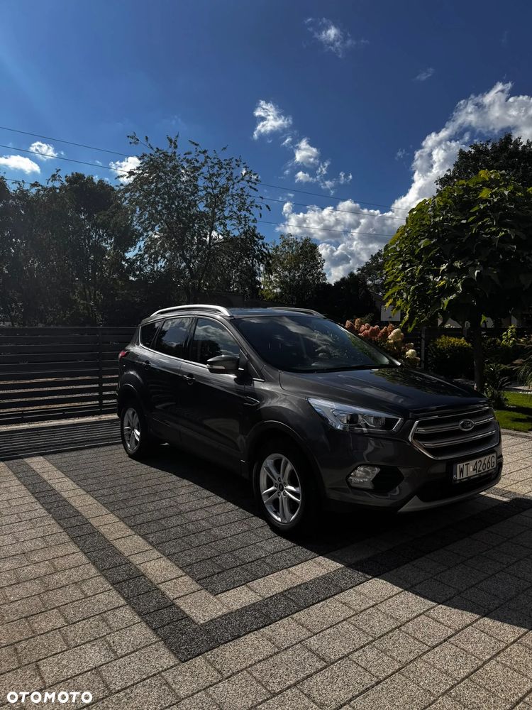 Ford Kuga 2019 photo 5