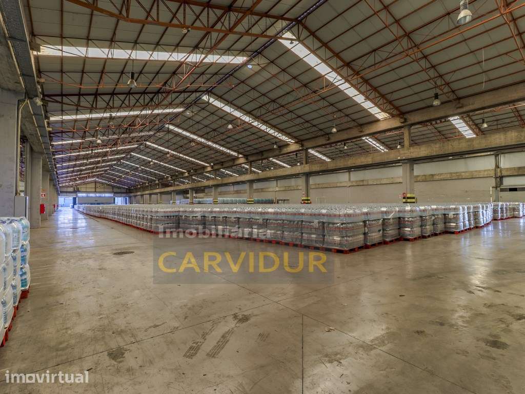 Armazém Industrial 2500m2 nave única, pé direito 8m. - Grande imagem: 2/41