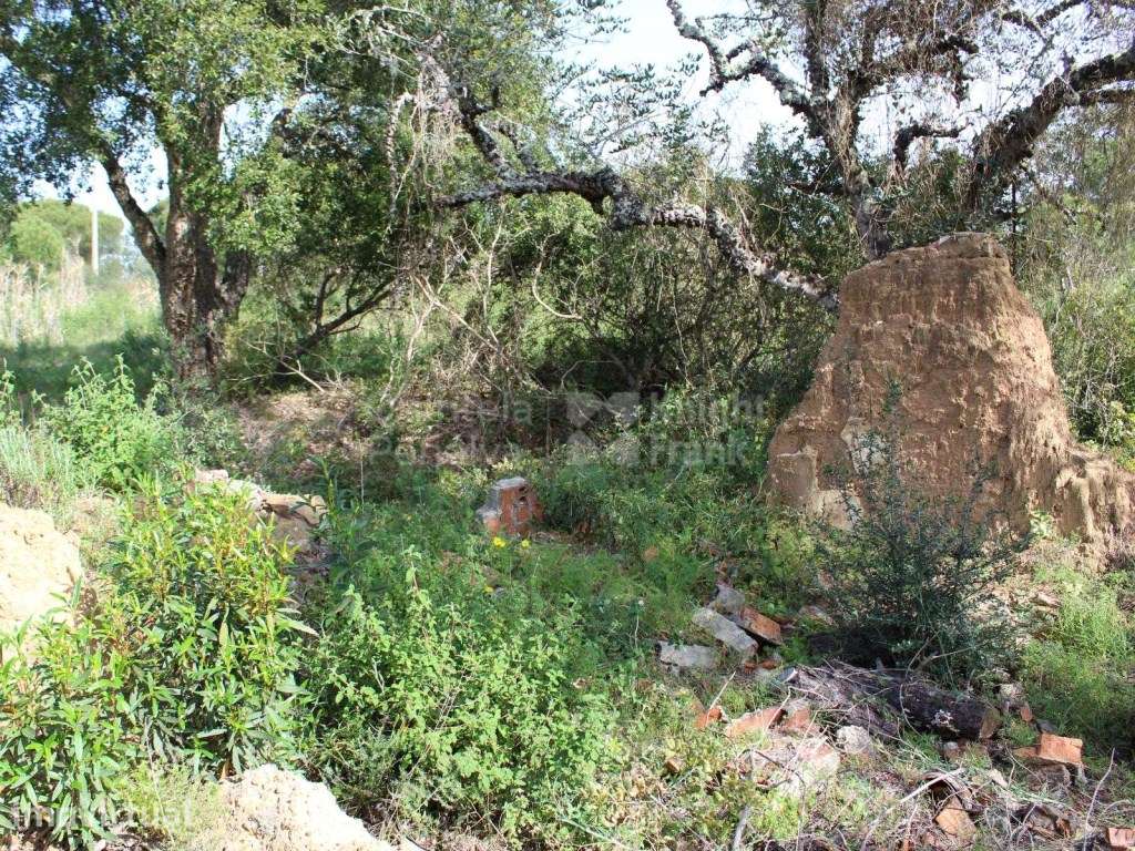 Terreno com 3,9 hectares e projecto aprovado em Melides, Setúbal - Grande imagem: 4/39