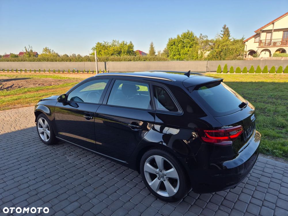 Audi A3 1.6 TDI - 13