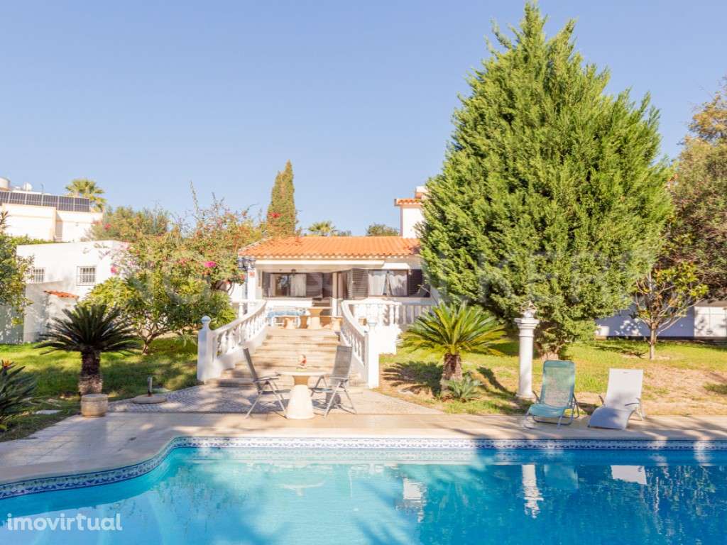 Serene Grove - Grande imagem: 2/31