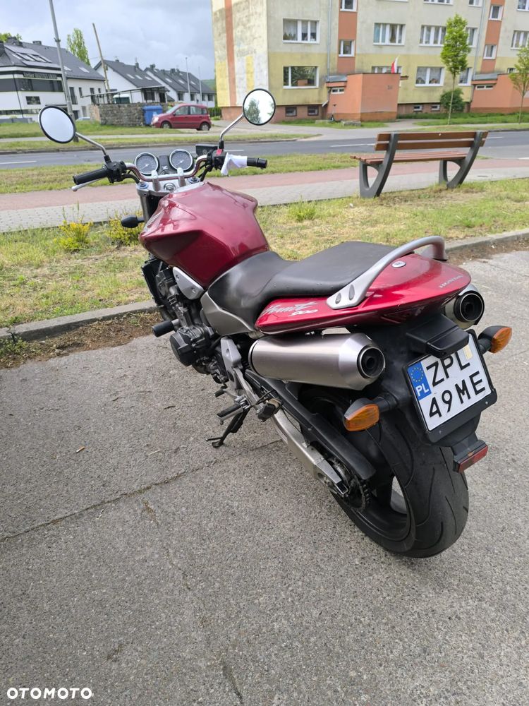 Honda Hornet - 12